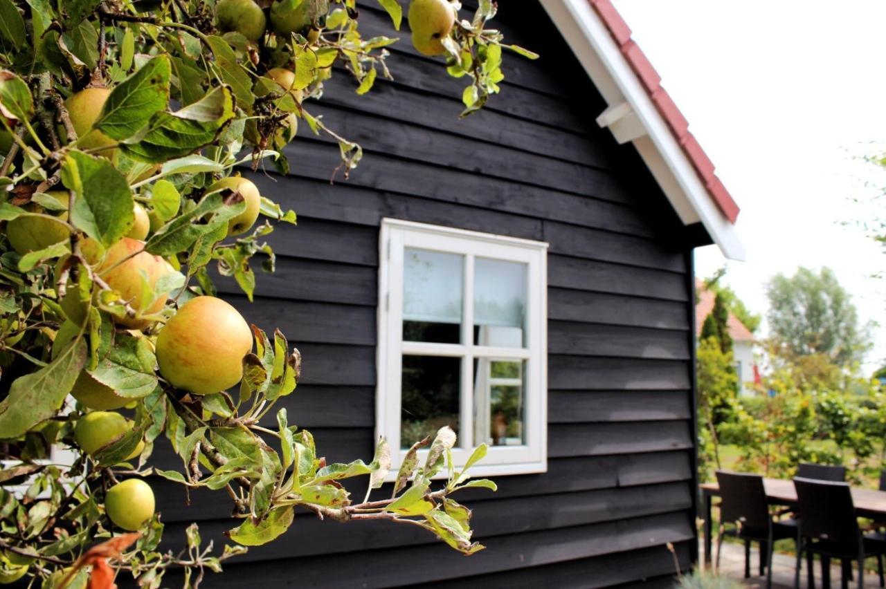 'T Schouws Uusje Villa Burgh-Haamstede Exteriör bild
