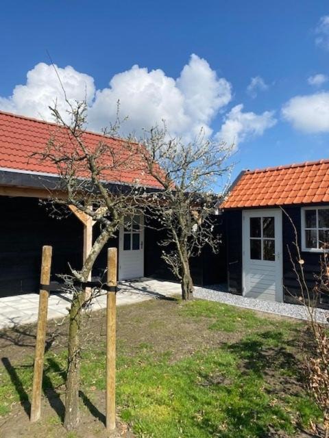 'T Schouws Uusje Villa Burgh-Haamstede Exteriör bild