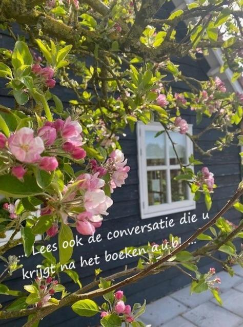 'T Schouws Uusje Villa Burgh-Haamstede Exteriör bild
